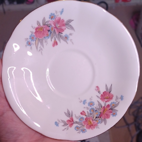Charming Floral Saucer with Pink and Blue Blooms Bone China - Picture 1 of 2